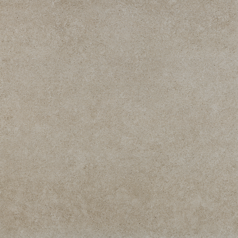 REX TAUPE